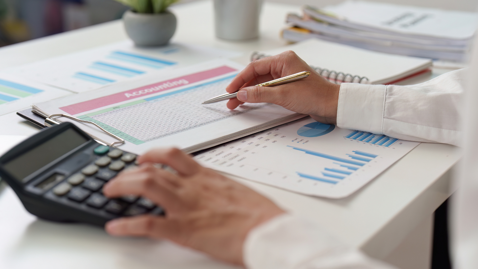 Financial Management and Accountability